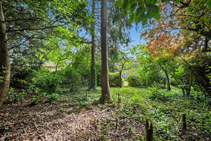 Gardens- click for photo gallery
